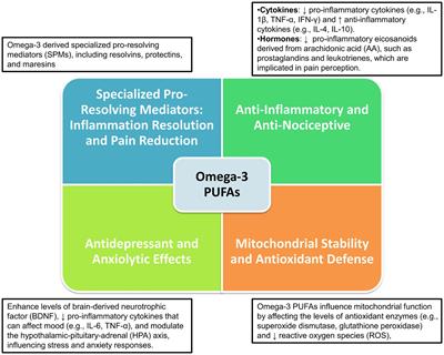 Neuroimmunological effects of omega-3 fatty acids on migraine: a review